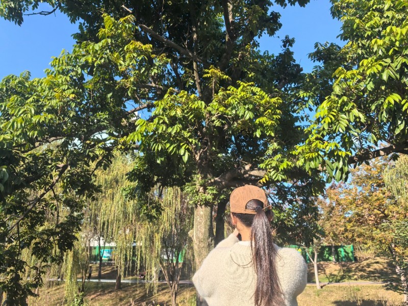 【金笔绘青春卷，专业赋现代化  ——2024 级金融学 3 班团支部系列团立项活动圆满收官】图2