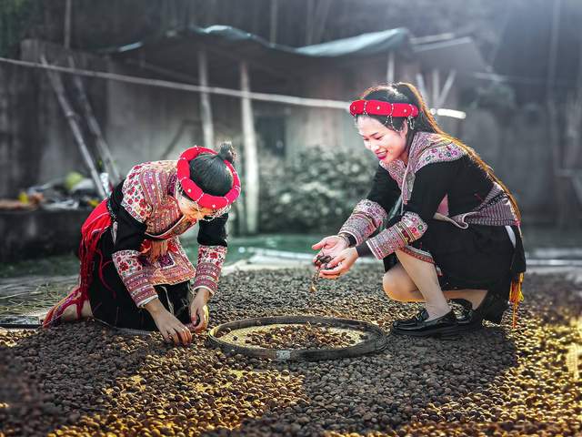 【畲医药产业园发展全景纪实：从守护耕耘到产业腾飞】图1