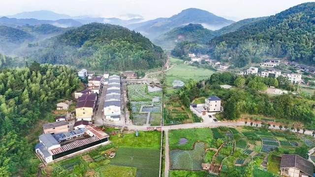 【畲医药产业园发展全景纪实：从守护耕耘到产业腾飞】图2