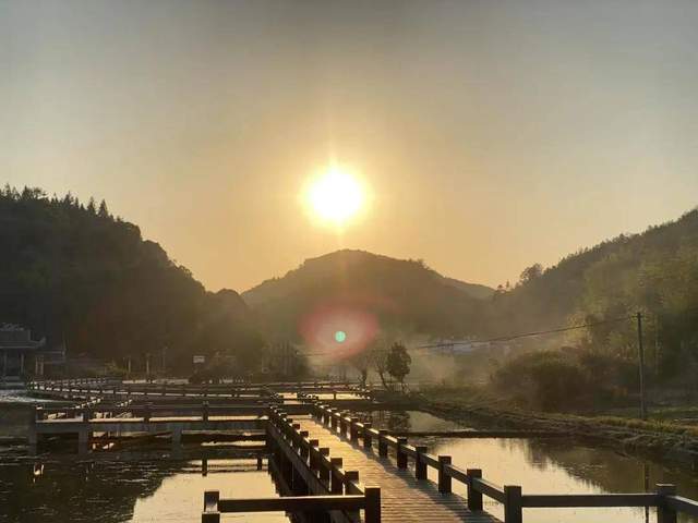 【畲医药产业园发展全景纪实：从守护耕耘到产业腾飞】图3