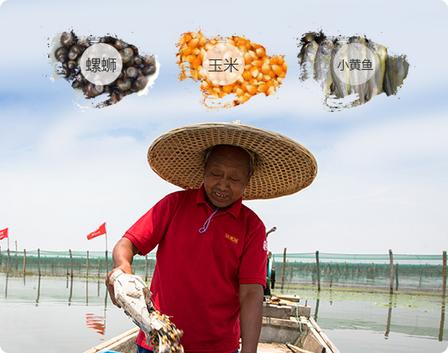 【好蟹源自水土匠心！大闸蟹生态养殖环境、天然食源与严苛选蟹标准】图4